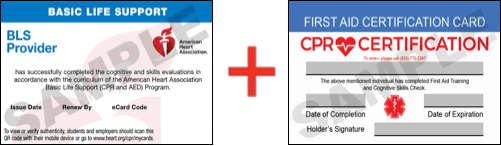 Sample American Heart Association AHA BLS CPR Card Certification and First Aid Certification Card from CPR Certification White Plains
