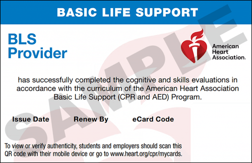 Sample American Heart Association AHA BLS CPR Card Certification from CPR Certification White Plains